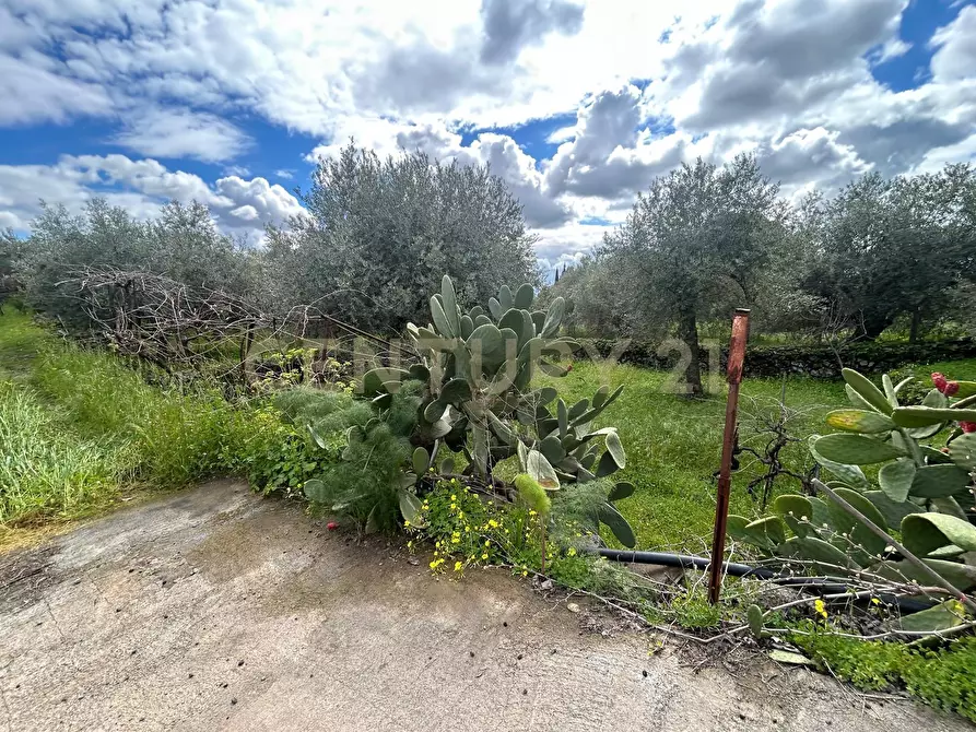 Immagine 36 di Terreno edificabile in vendita  in Viale Giovanni Falcone 9 a Camporotondo Etneo