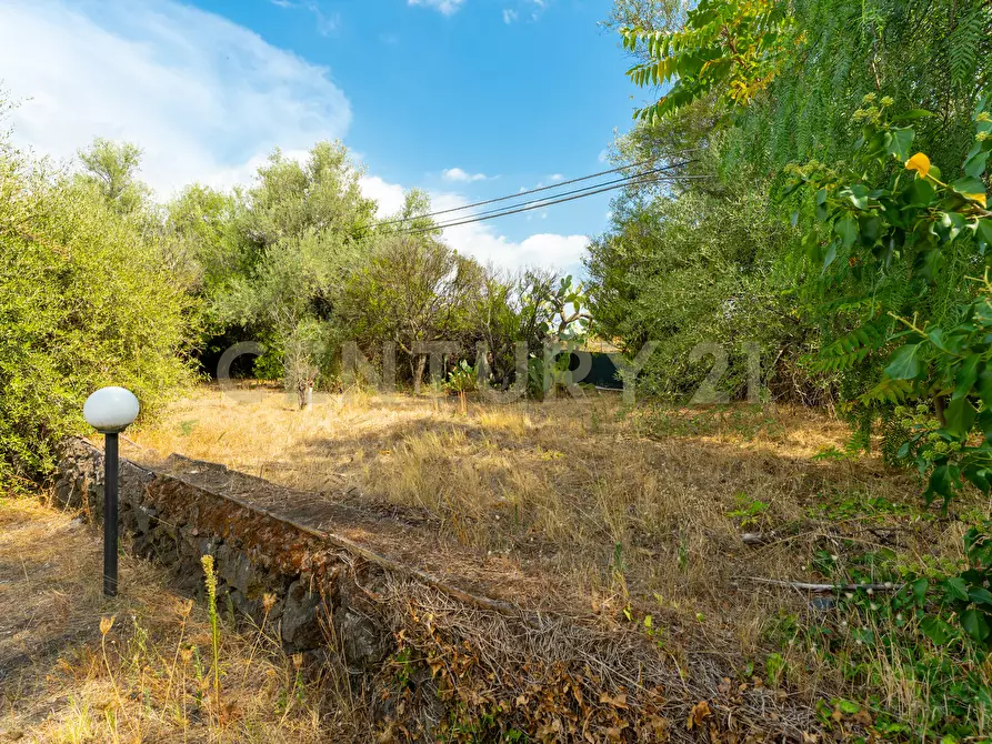 Immagine 16 di Villa in vendita  in Via Pulei 25 a Mascalucia