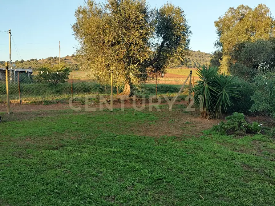 Immagine 8 di Rustico / casale in vendita  in Strada Pedemontana a Capalbio