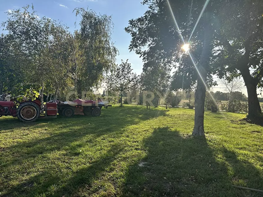 Immagine 63 di Rustico / casale in vendita  in Via Trento 70 a Minerbe