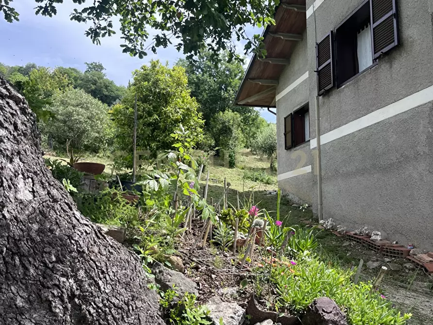 Immagine 22 di Porzione di casa in vendita  in Strada Marco Pantani 49 a Manciano