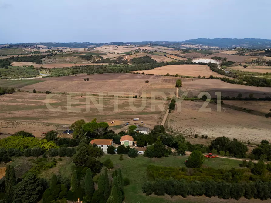 Immagine 16 di Rustico / casale in vendita  in LOCALITA PINZUTI a Manciano