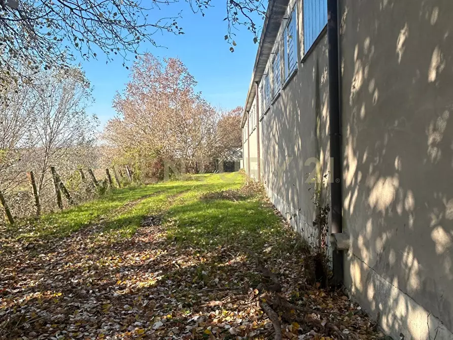 Immagine 21 di Attività artigianale in affitto  in Via San Pierino a Bovolone