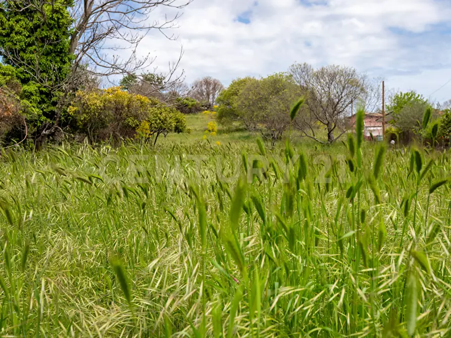Immagine 25 di Terreno industriale in vendita  in Via dei Belfiore 4 a Valverde