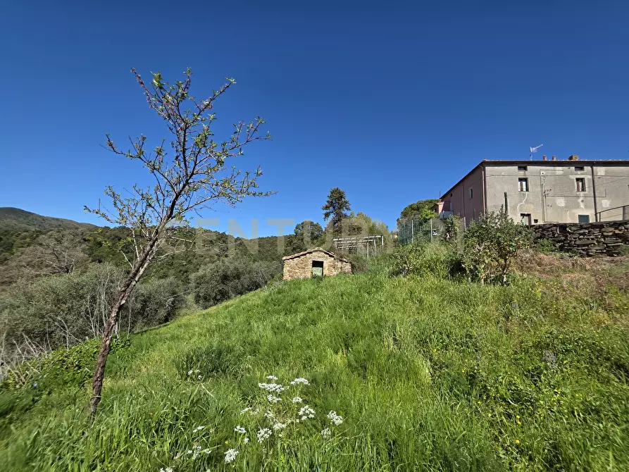 Immagine 23 di Rustico / casale in vendita  in località cesi a Gavorrano