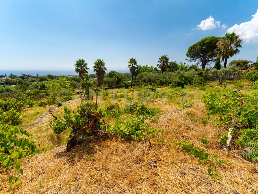 Immagine 33 di Villa in vendita  in Via Grazia Deledda 28 a Santa Venerina