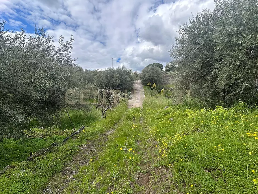 Immagine 31 di Terreno edificabile in vendita  in Viale Giovanni Falcone 9 a Camporotondo Etneo