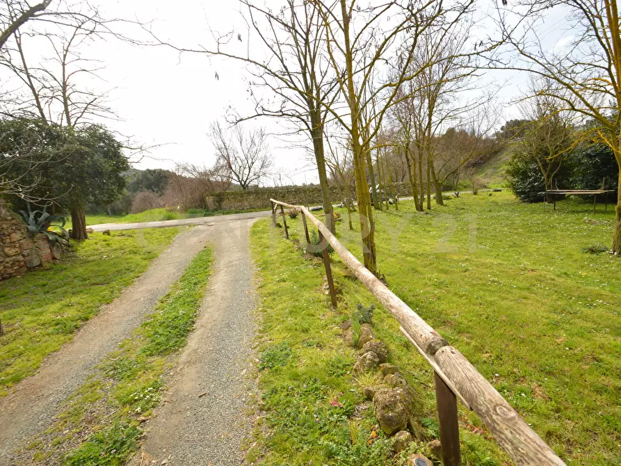 Immagine 12 di Rustico / casale in vendita  in Via Maria Alessandra Barbantini 8 a Grosseto