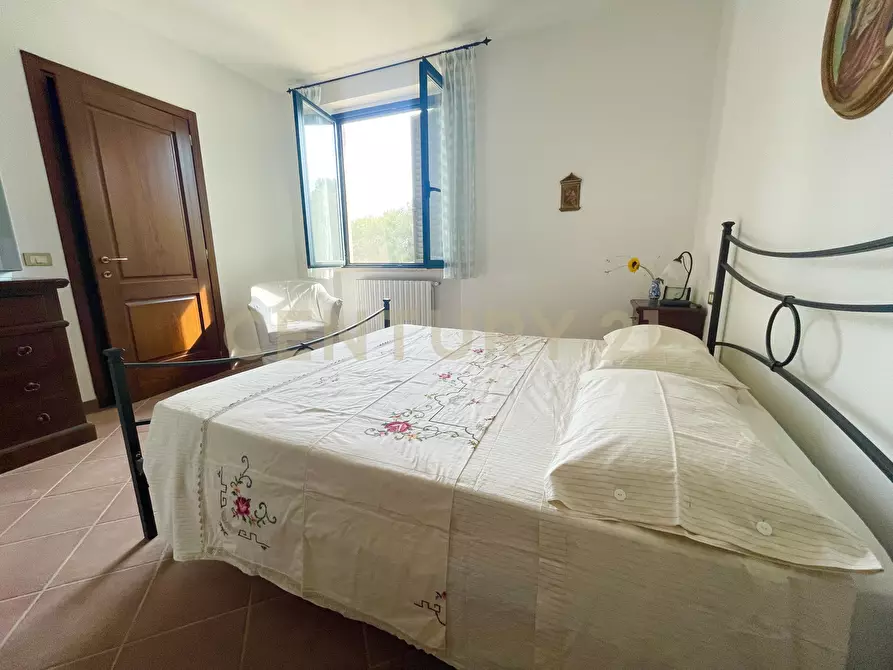 Immagine 31 di Azienda agricola in vendita  in località colle di lupo a Magliano In Toscana