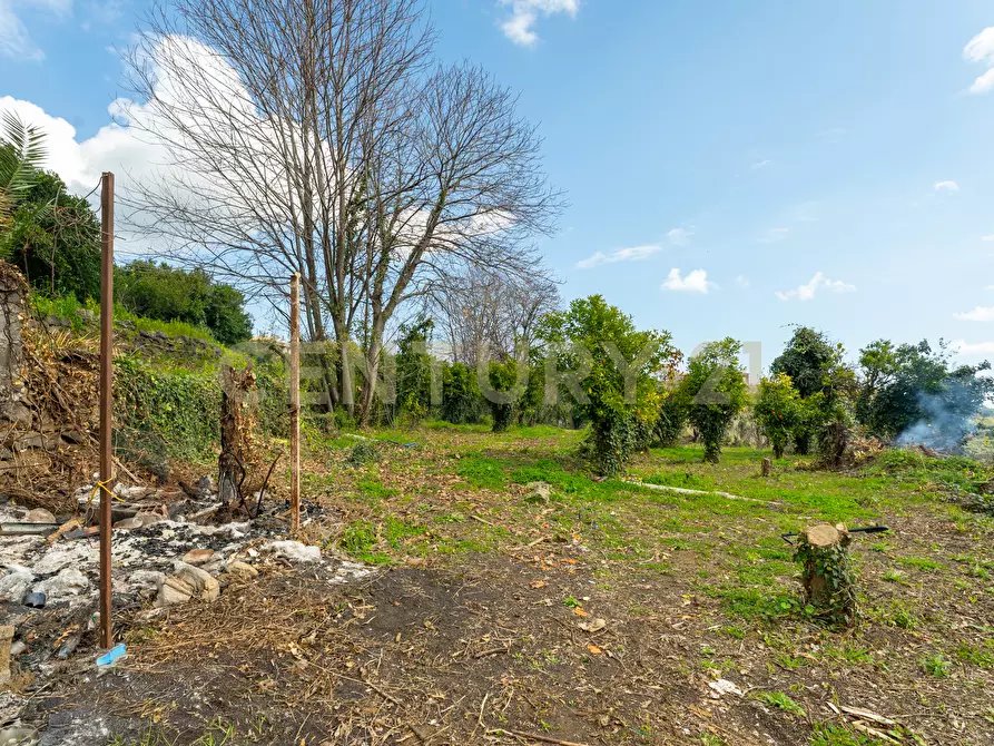 Immagine 32 di Terreno agricolo in vendita  in via giuseppe zinghirino 1 a Giarre