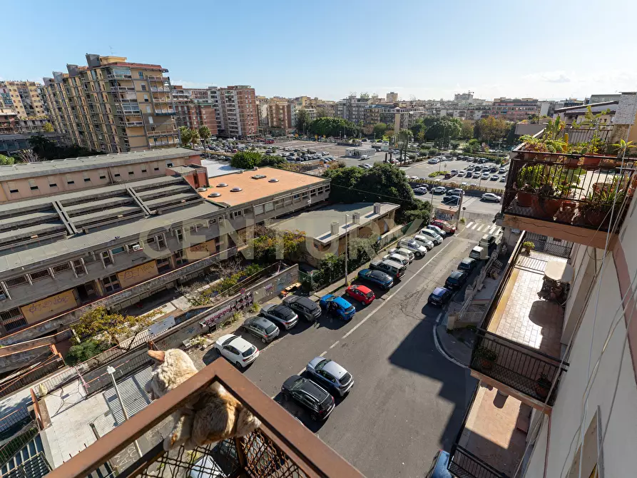 Immagine 2 di Attico in vendita  in Via San Filippo Neri 26 a Catania