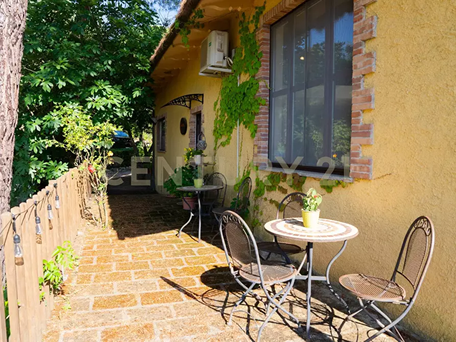 Immagine 55 di Rustico / casale in vendita  a Cinigiano