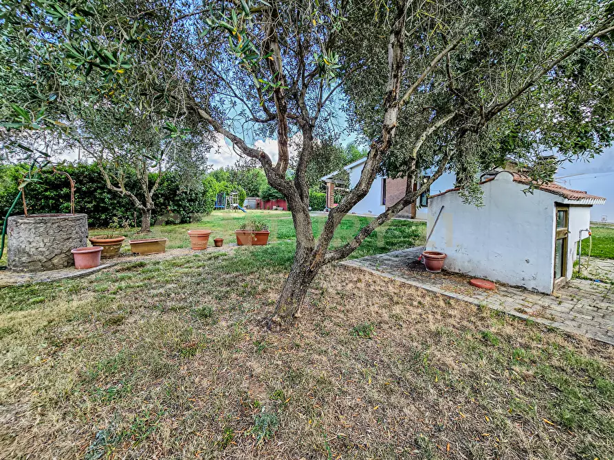 Immagine 12 di Villa in vendita  in Via del Madonnino snc a Grosseto