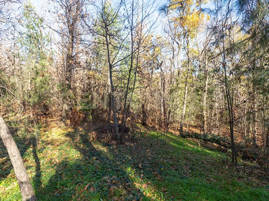 Immagine 2 di Villa in vendita  in Via della Regione 70 a Pedara