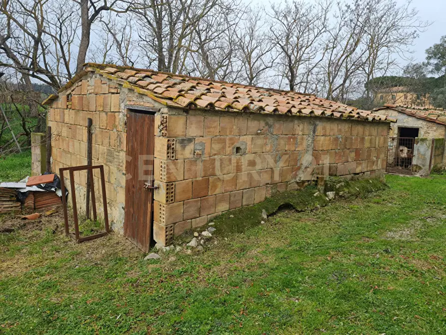 Immagine 22 di Rustico / casale in vendita  a Civitella Paganico