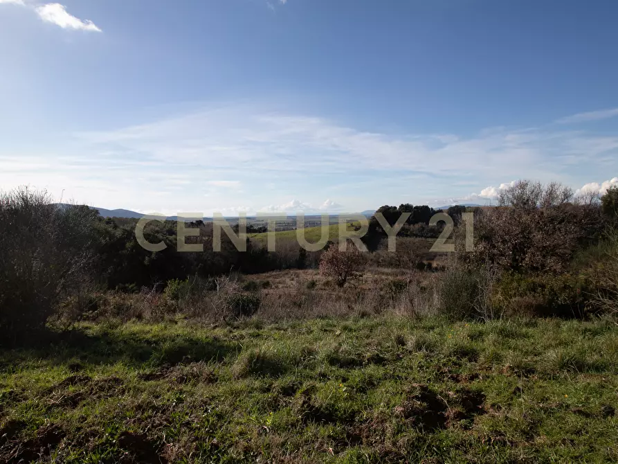 Immagine 25 di Villa in vendita  in Località Valle Maggiore 1 a Magliano In Toscana