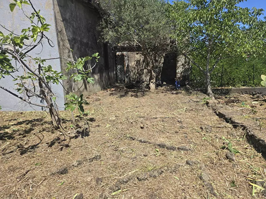Immagine 23 di Villa in vendita  in Via Panebianco 20 a Castiglione Di Sicilia