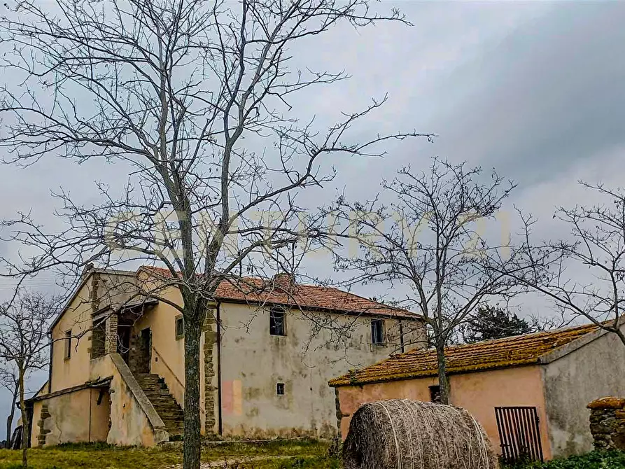 Immagine 5 di Rustico / casale in vendita  in località mandorlaie a Scansano