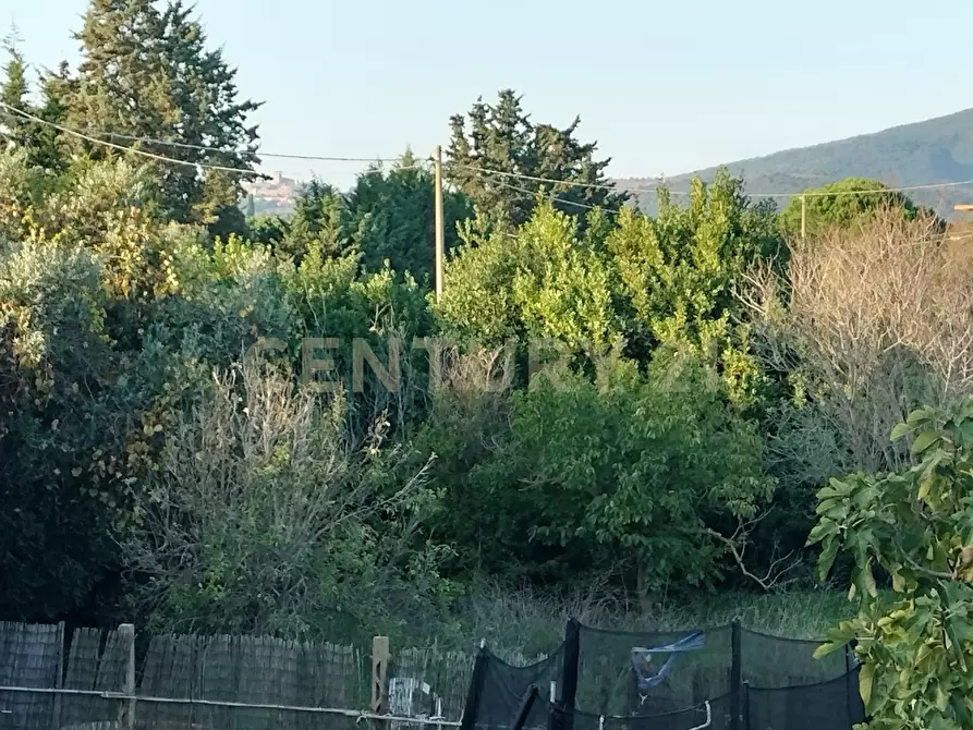 Immagine 7 di Casa bifamiliare in vendita  in Strada Cava del Gesso 2 a Capalbio