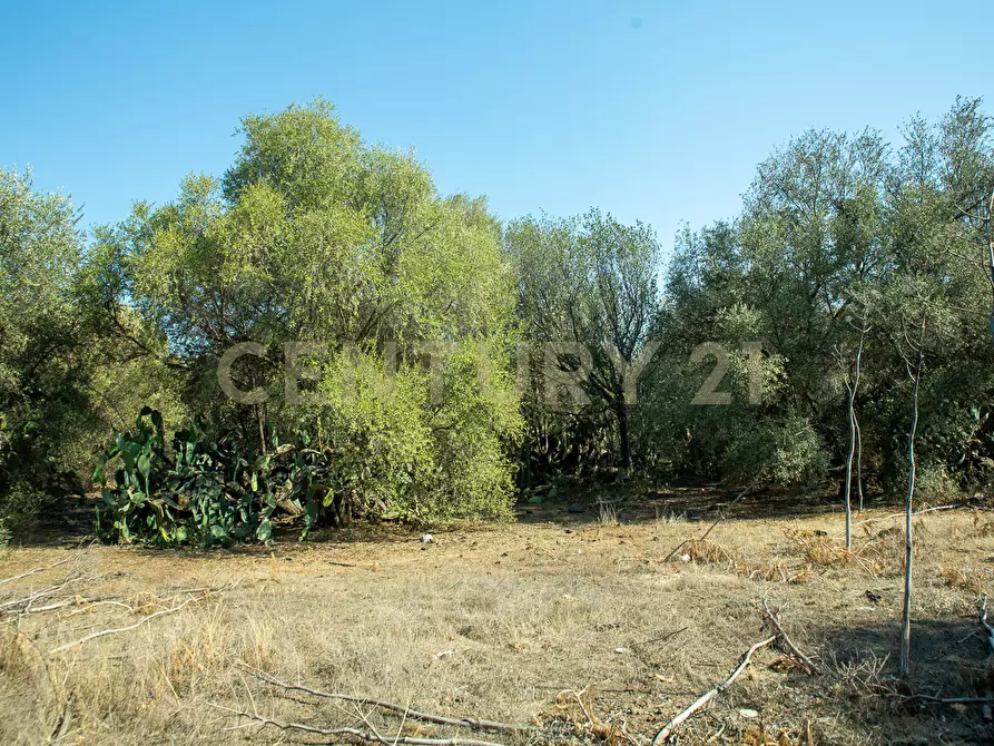 Immagine 12 di Terreno edificabile in vendita  in CONTRA FURERIA snc a Belpasso