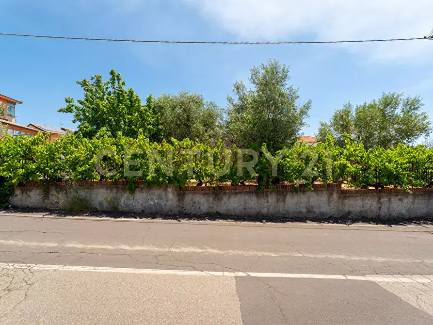 Immagine 3 di Terreno edificabile in vendita  in Via Piano del Conte 21 a Mascalucia