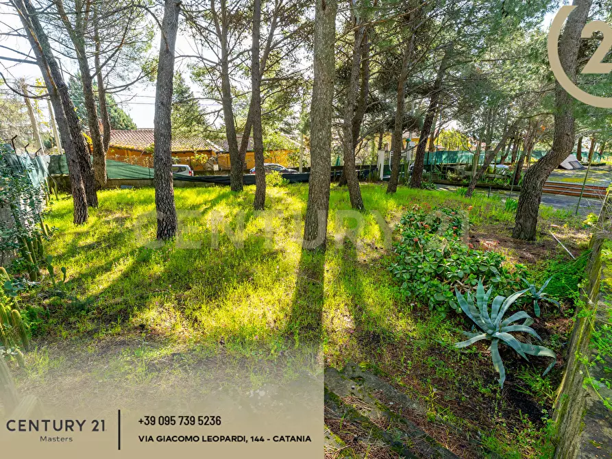 Immagine 41 di Villa in vendita  in Via Francesco Durante 11 a Pedara