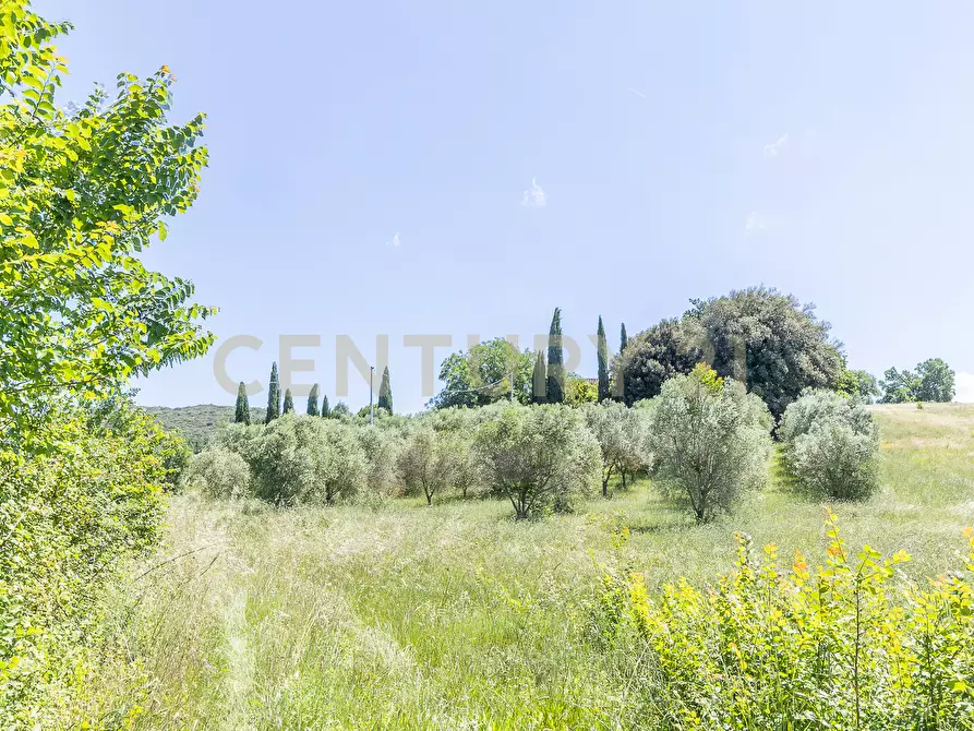 Immagine 35 di Rustico / casale in vendita  in Via Tiberina 384 a Narni