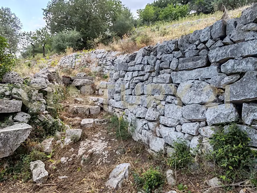 Immagine 5 di Rustico / casale in vendita  in strada provinciale 104 a Modica