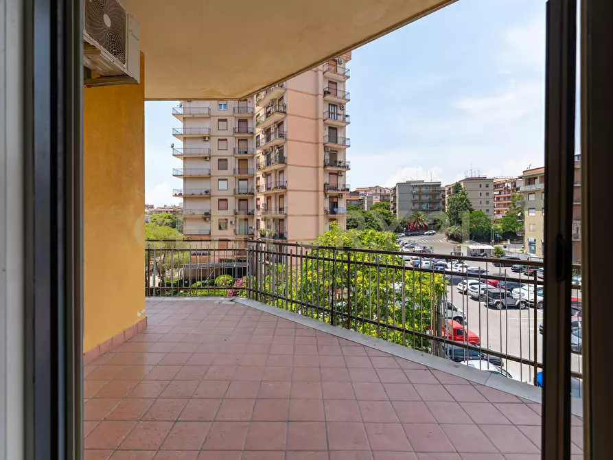 Immagine 38 di Quadrilocale in vendita  in Via Vincenzo Giuffrida 203 a Catania