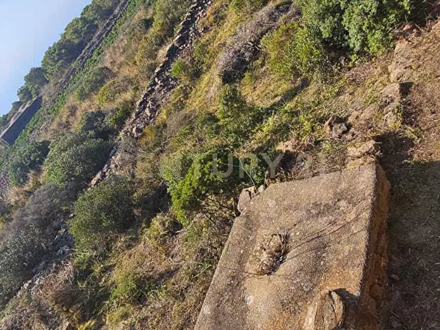 Immagine 5 di Casa indipendente in vendita  in Vicolo del Tufo 12 a Pantelleria