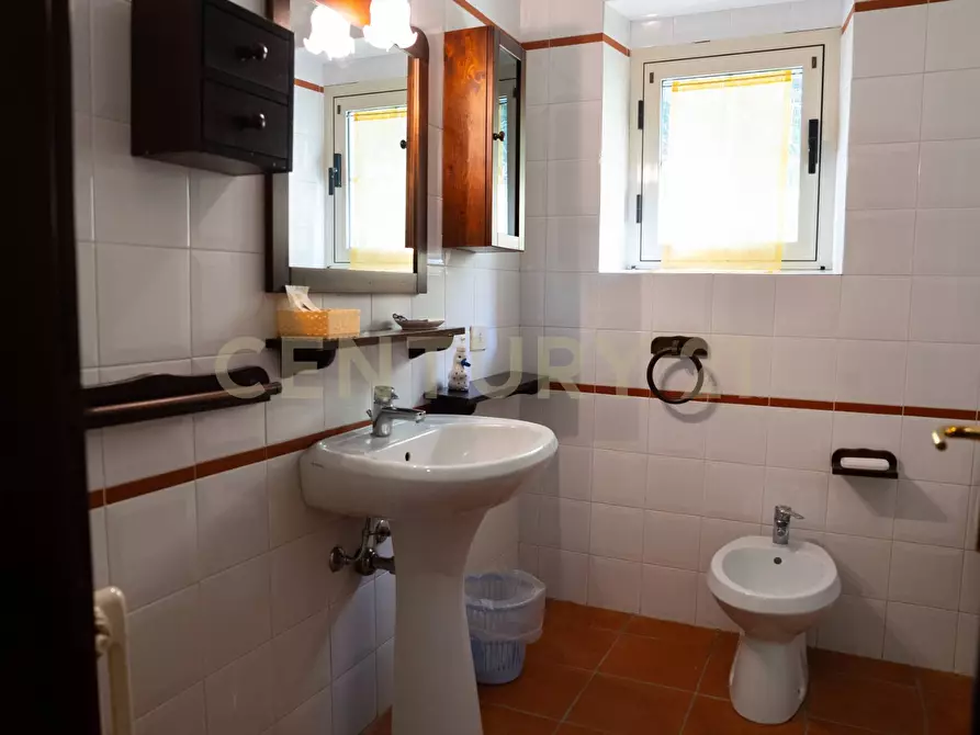 Immagine 46 di Rustico / casale in vendita  a Cinigiano