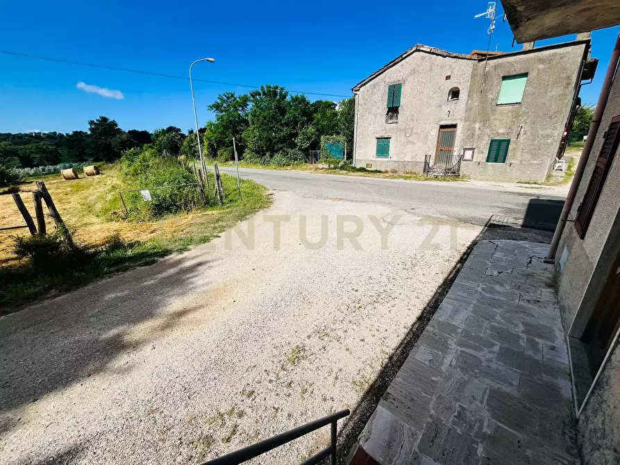 Immagine 21 di Appartamento in vendita  in Via Case Balducci 17 a Scansano