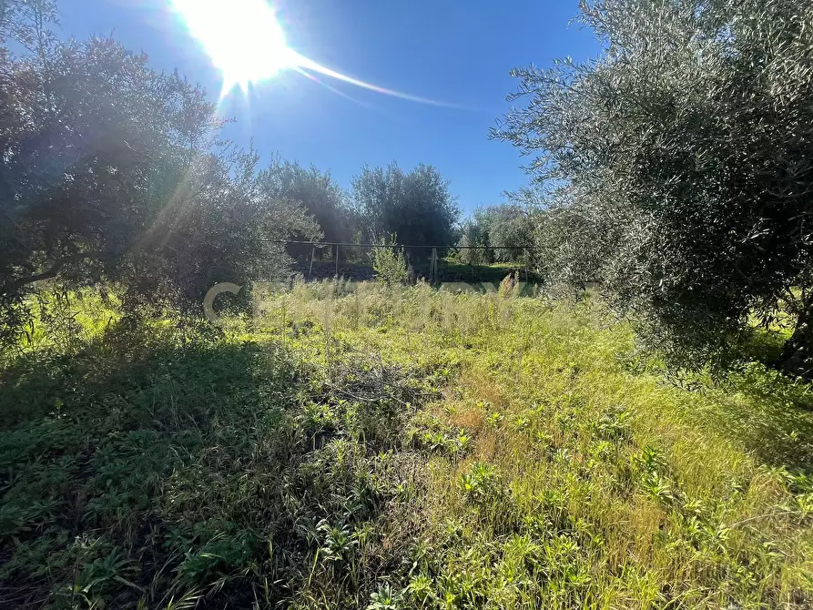Immagine 28 di Terreno agricolo in vendita  in contrada agnelleria a Belpasso