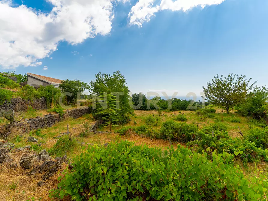 Immagine 47 di Villa in vendita  in Via Grazia Deledda 28 a Santa Venerina