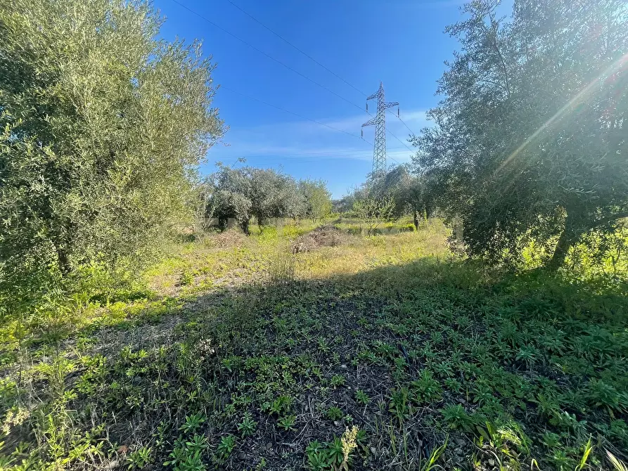 Immagine 22 di Terreno agricolo in vendita  in contrada agnelleria a Belpasso
