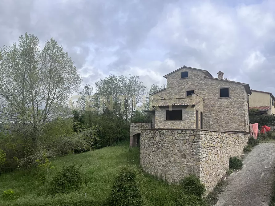 Immagine 13 di Rustico / casale in vendita  in Località Poggio Murella 164 a Manciano