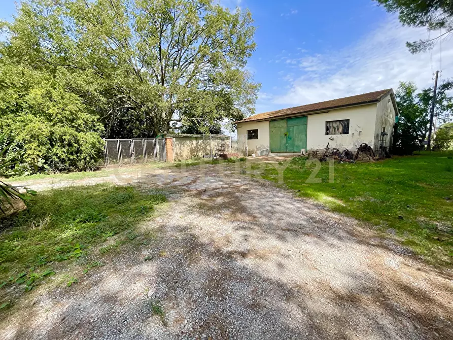 Immagine 20 di Rustico / casale in vendita  in località quarto albegna snc a Manciano