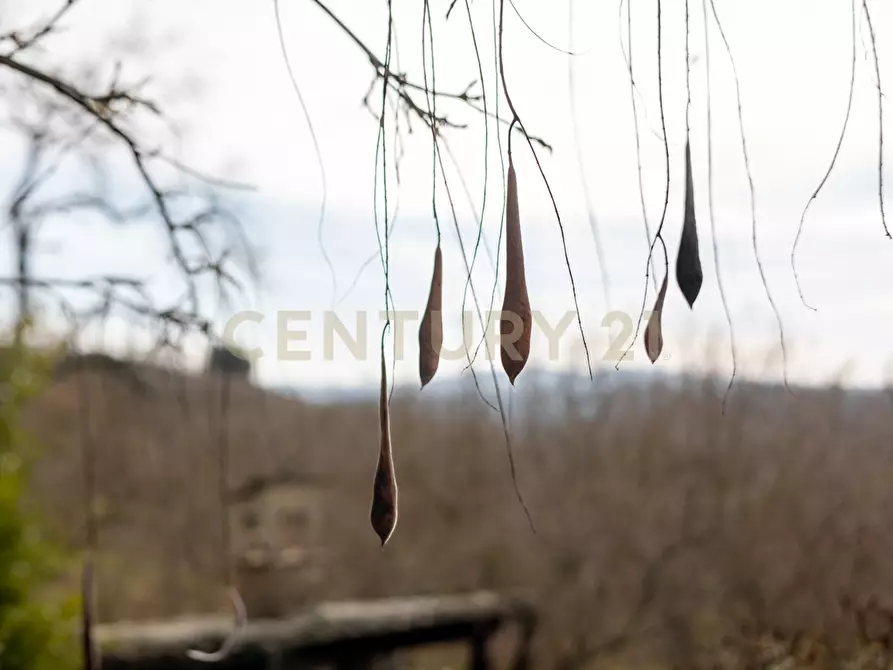 Immagine 47 di Villa in vendita  in Località Campo Rotondo snc a Capranica