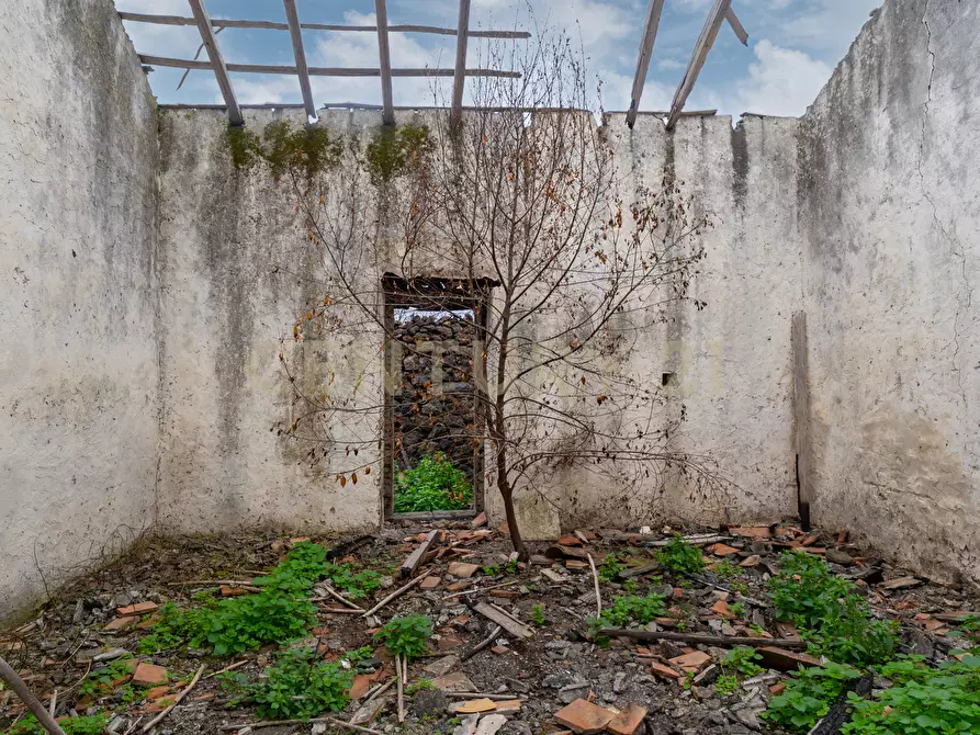 Immagine 15 di Terreno agricolo in vendita  in Via Santa Maria di Licodia a Belpasso