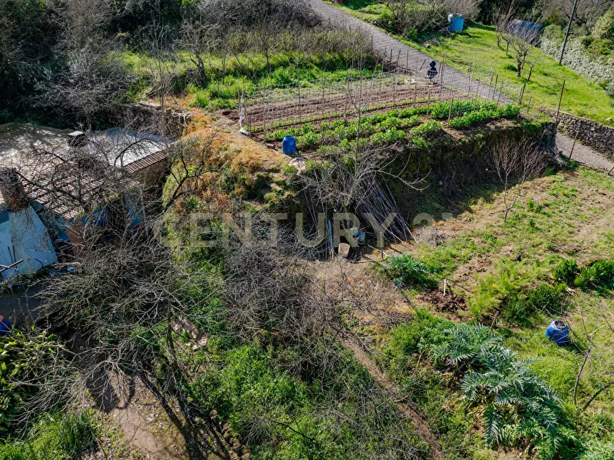 Immagine 17 di Rustico / casale in vendita  in Via del Campone 124 a Monte Argentario