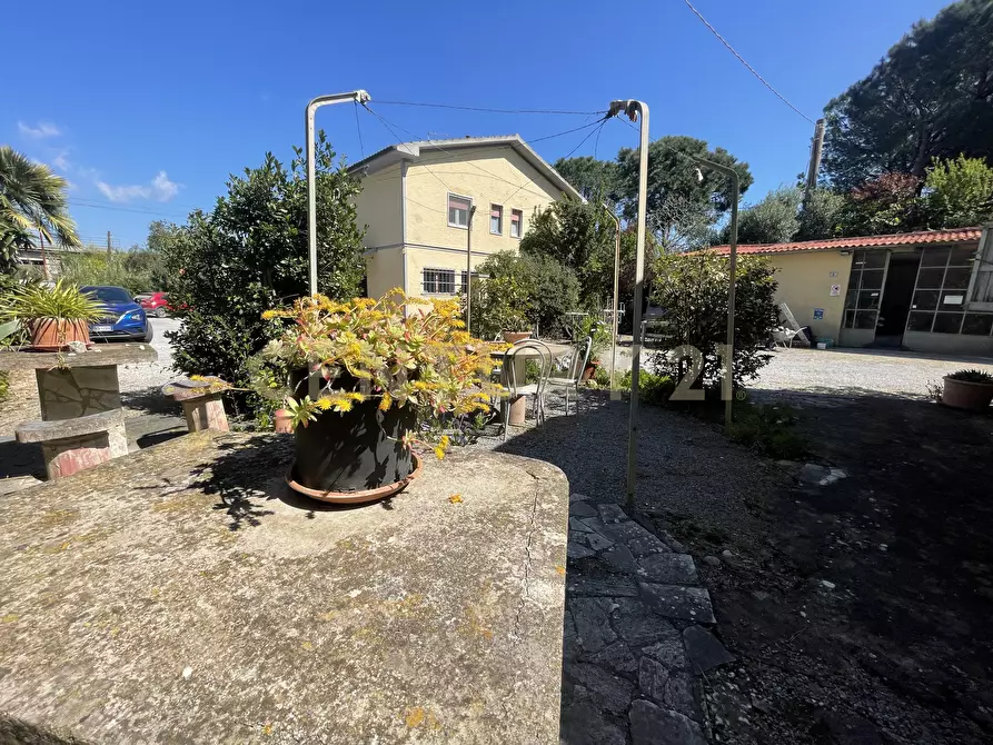 Immagine 4 di Porzione di casa in vendita  in Strada Vicinale dei Bagnacci 1 a Orbetello