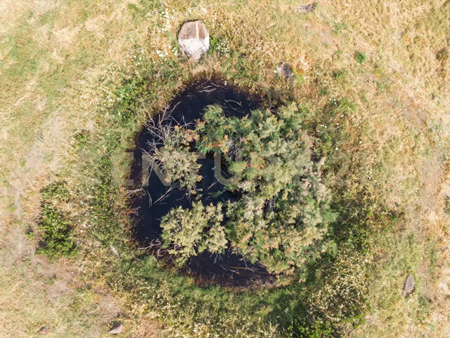Immagine 12 di Terreno agricolo in vendita  in Via San Leo a Adrano