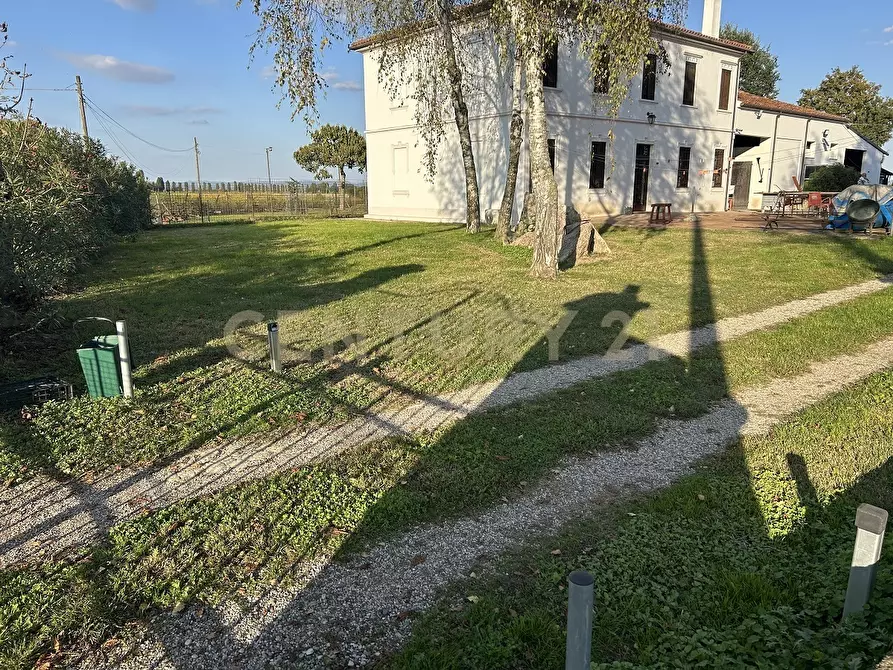 Immagine 47 di Rustico / casale in vendita  in Via Trento 70 a Minerbe