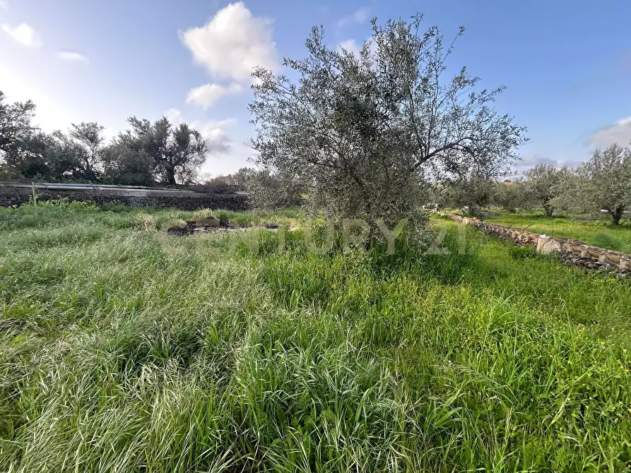 Immagine 26 di Terreno agricolo in vendita  in Via Giovanni Verga 1/A a Misterbianco