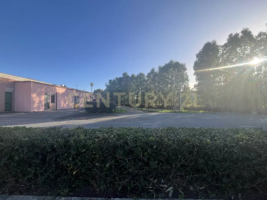 Immagine 10 di Locale commerciale in vendita  in Via Ponte Giorgini a Castiglione Della Pescaia