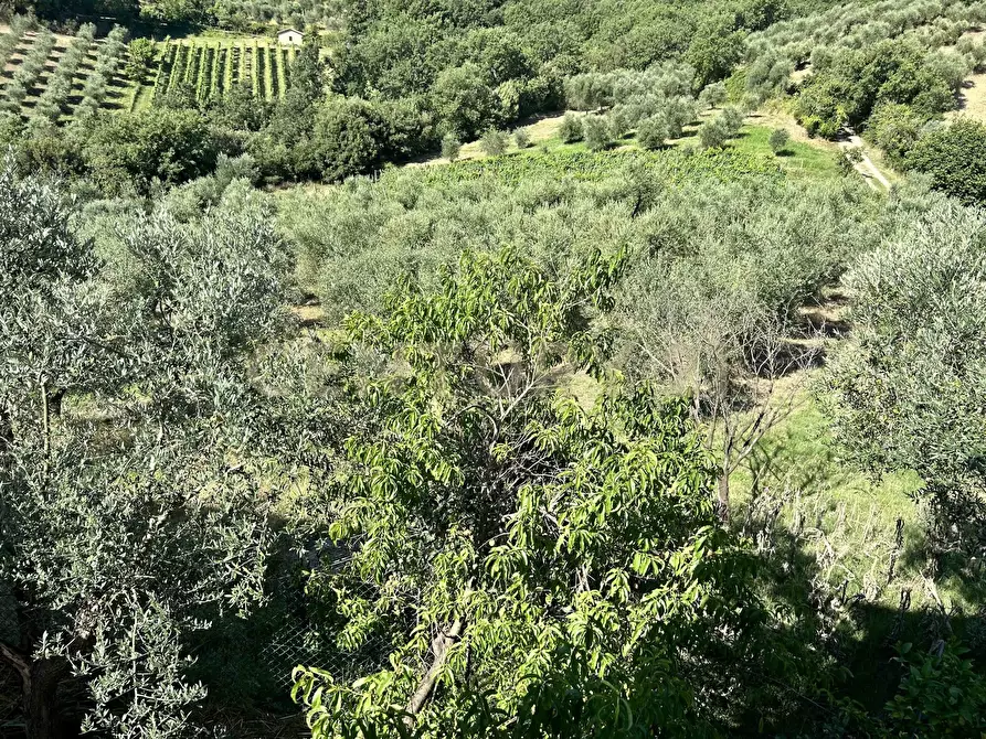 Immagine 25 di Rustico / casale in vendita  in Strada Provinciale Voltina 12 a Cinigiano
