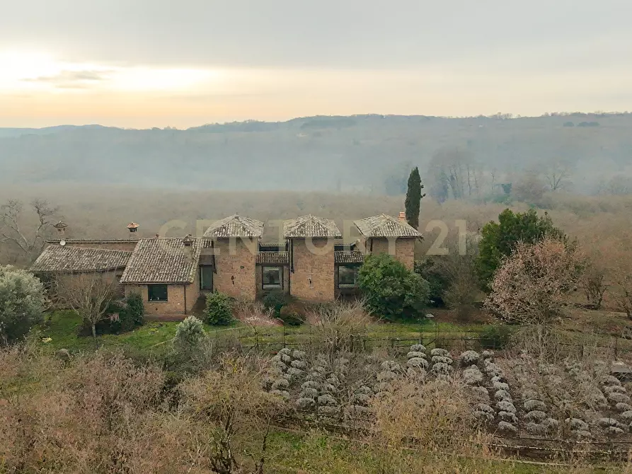Immagine 14 di Villa in vendita  in Località Campo Rotondo snc a Capranica