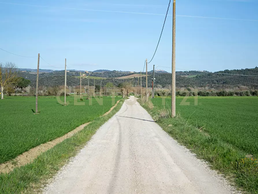 Immagine 17 di Rustico / casale in vendita  a Civitella Paganico