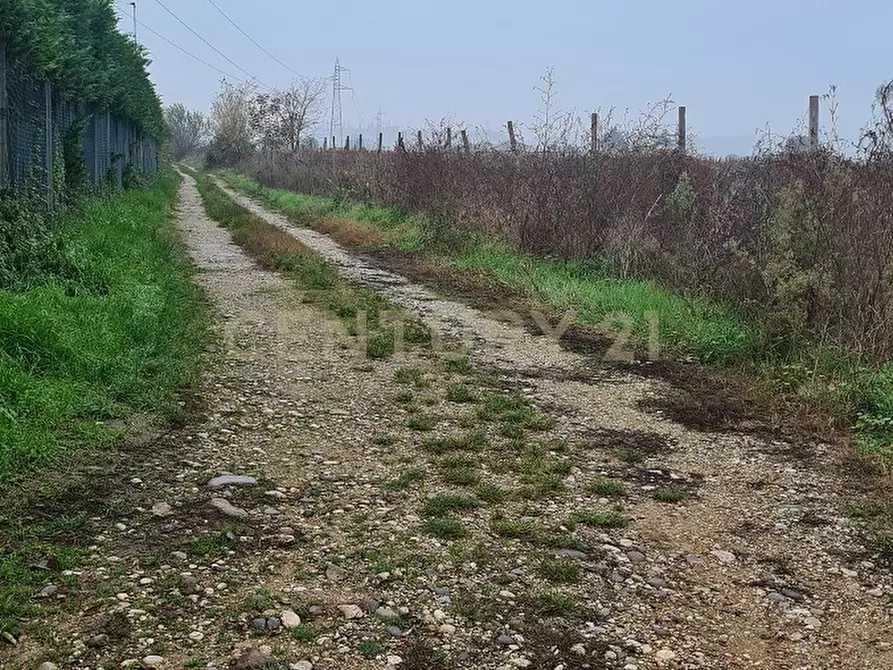 Immagine 11 di Terreno agricolo in vendita  in Via Siberie a Sommacampagna