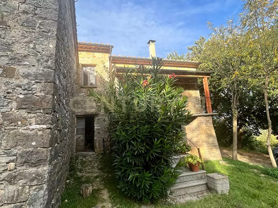 Immagine 2 di Rustico / casale in vendita  in località casa iaconi a Semproniano